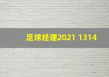 足球经理2021 1314